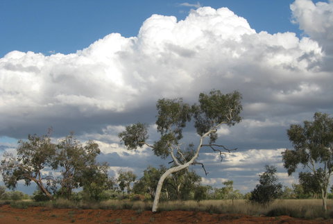 Windorah Nature Drive - Queensland Tourism 1