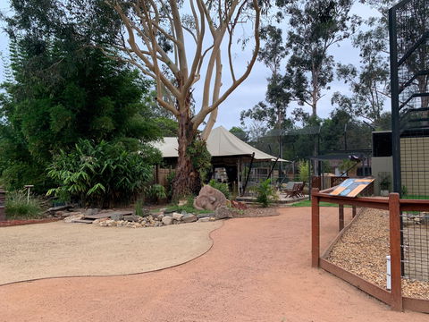 Zambi Wildlife Retreat - Queensland Tourism 2