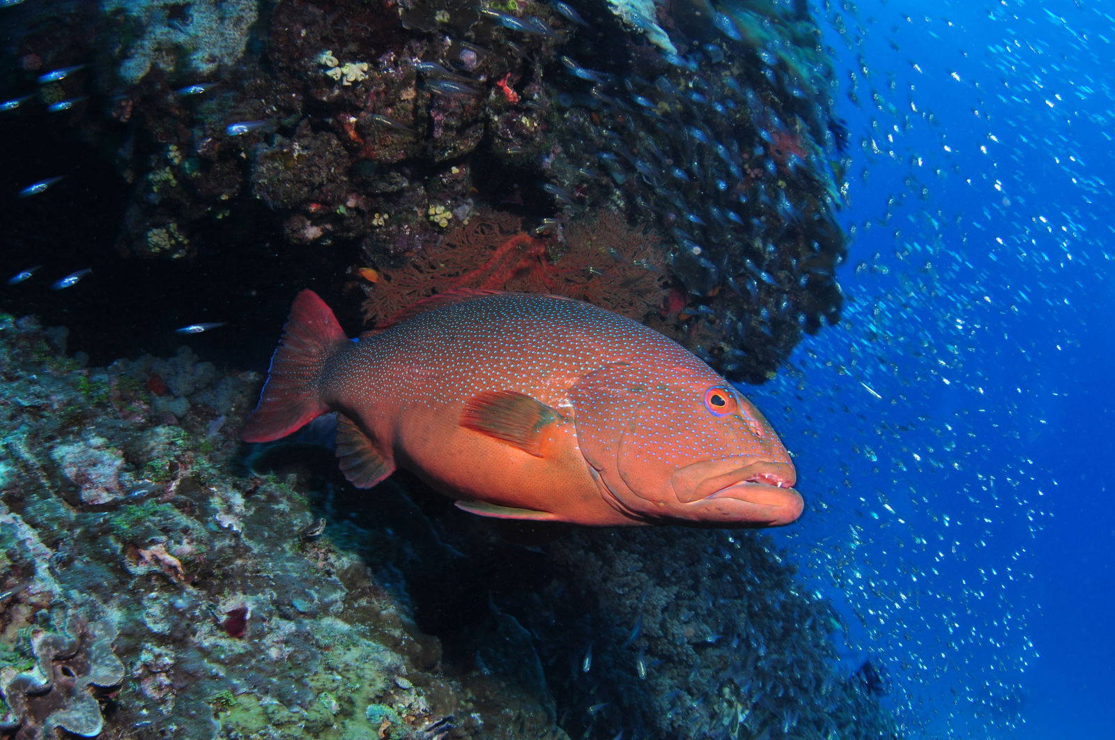  Queensland Tourism
