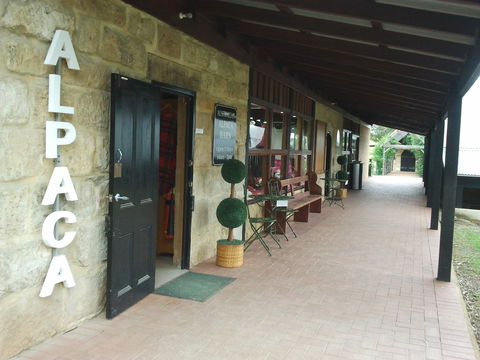 Australian Alpaca Barn - Pokolbin - Queensland Tourism 0