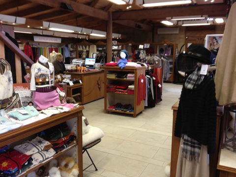 Australian Alpaca Barn - Pokolbin - Queensland Tourism 1