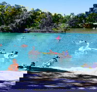 Black Diamond Lake - QLD Tourism