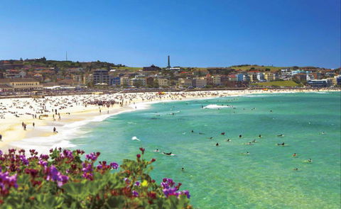 Bondi - QLD Tourism 0