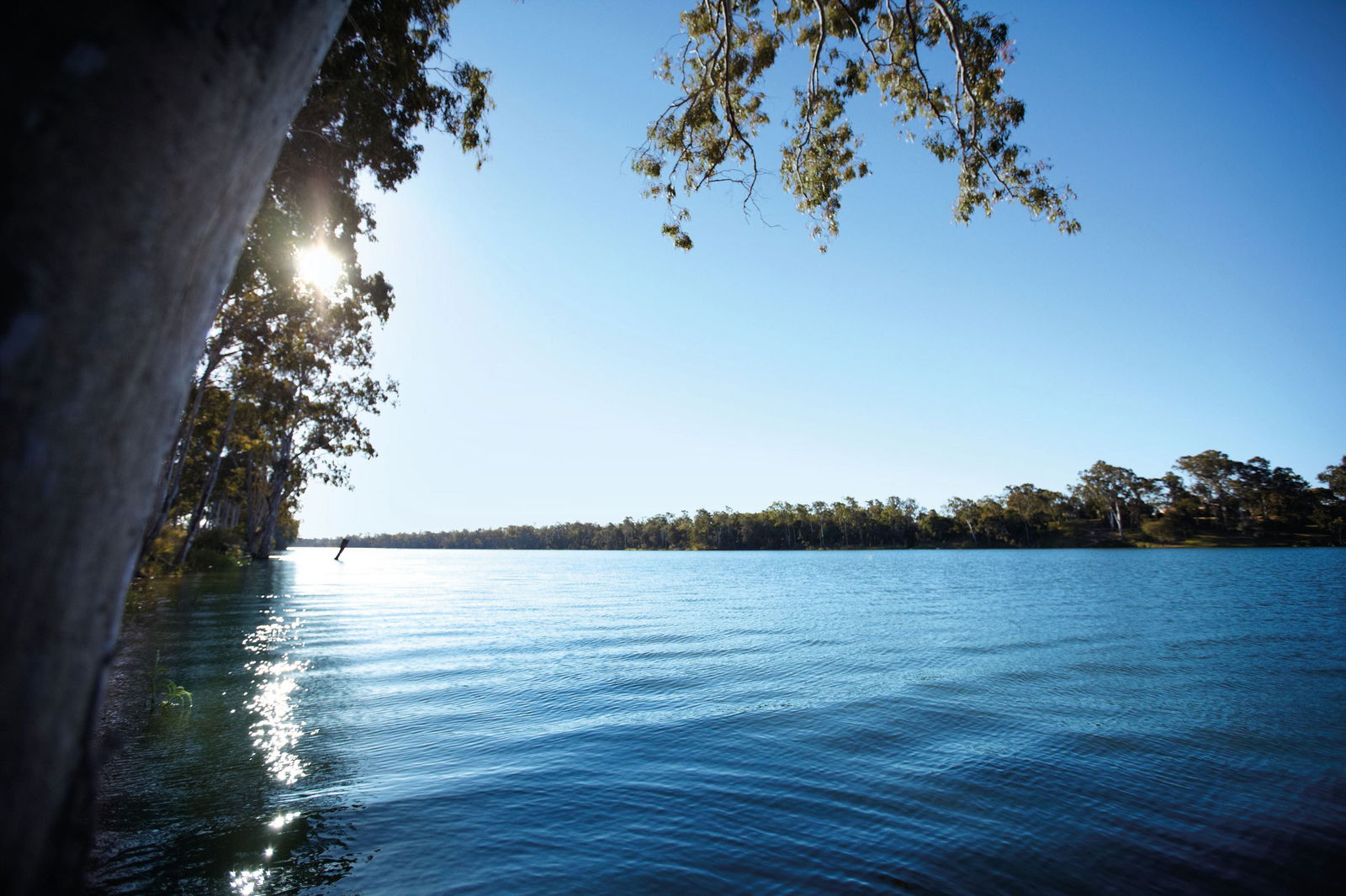 Branyan QLD QLD Tourism