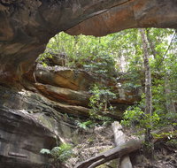 Cave Creek Walking Track - QLD Tourism