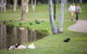 Centenary Lakes Park - thumb 2