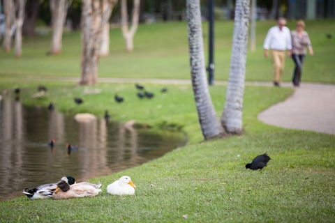 Centenary Lakes Park - Queensland Tourism 2