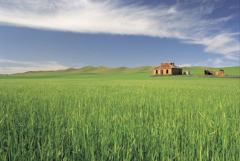 Clare Valley - Queensland Tourism 1