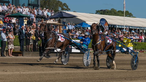 Club Menangle - QLD Tourism 2