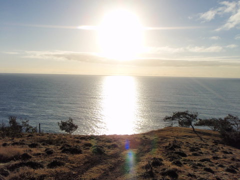 Curtis Island - QLD Tourism 1