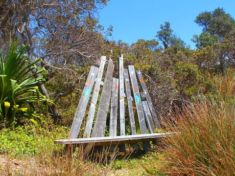 Diggers Headland - QLD Tourism 1