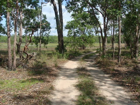 Djukbinj National Park - QLD Tourism 0