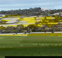 Fini Olives - Queensland Tourism