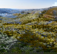 Gold Coast Hinterland Great Walk - QLD Tourism
