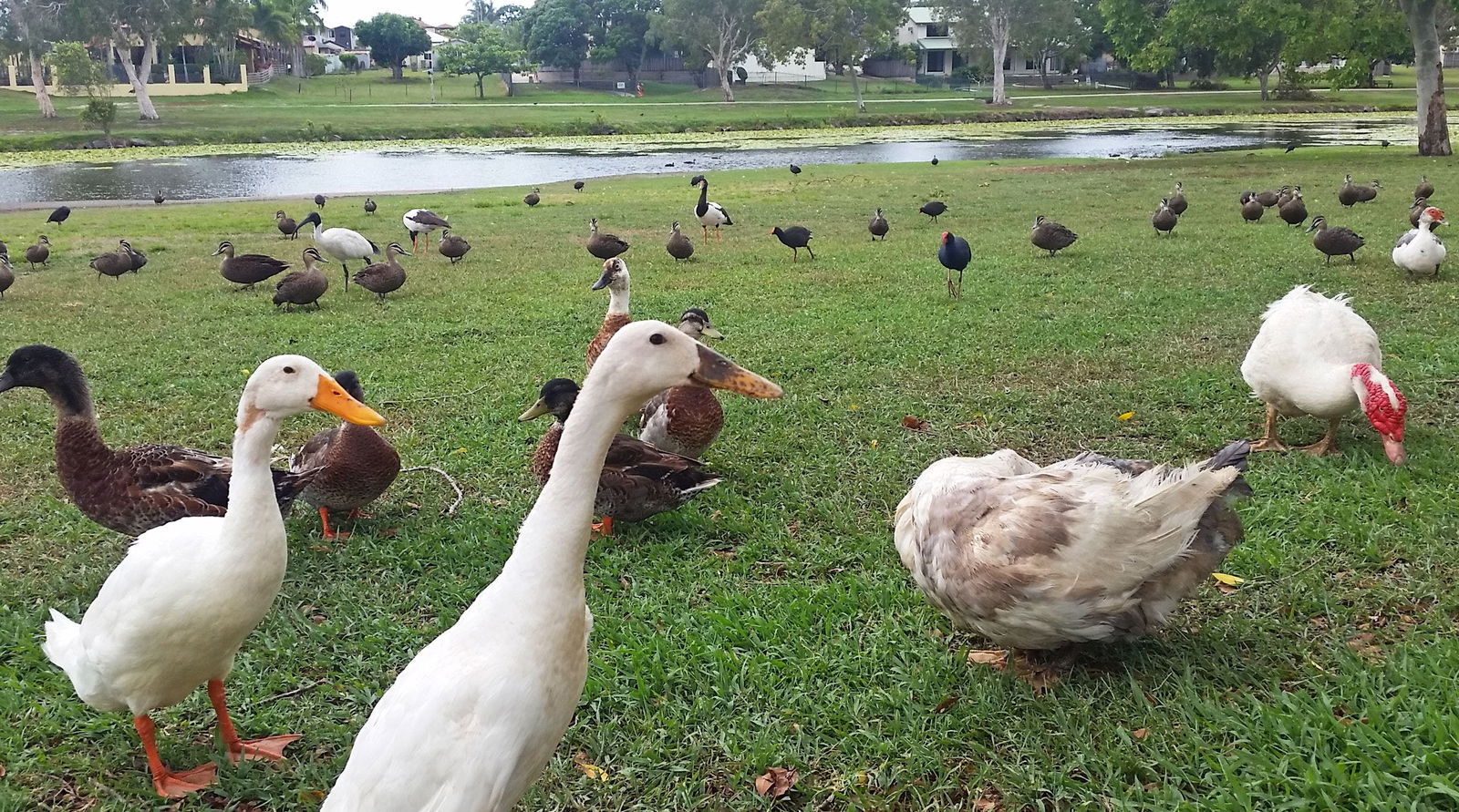  QLD Tourism