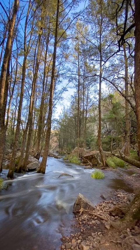 Horton Falls And Walks - QLD Tourism 2