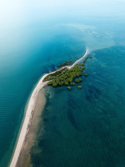 King Island Walk - QLD Tourism 1