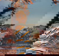 Kuranda Koala Gardens - Queensland Tourism