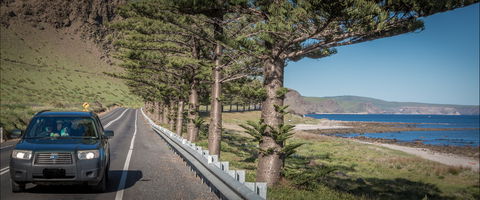 Lady Bay Beach - QLD Tourism 0