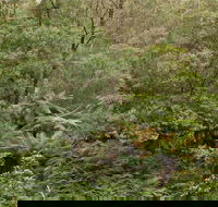 Lind National Park - Queensland Tourism