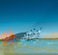 Llewellyn Dive Site - QLD Tourism