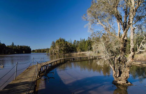 Longneck Lagoon Walking Track - Queensland Tourism 0