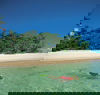 Low Isles - Queensland Tourism