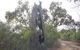 Martin Bend Wetland And Walking Trail - thumb 1