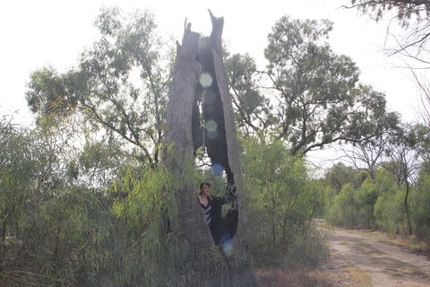 Martin Bend Wetland And Walking Trail - Queensland Tourism 1