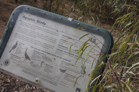 Martin Bend Wetland And Walking Trail - Queensland Tourism 2