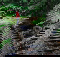 Montezuma Falls - Queensland Tourism