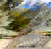 Naracoorte North Nature Park - Queensland Tourism