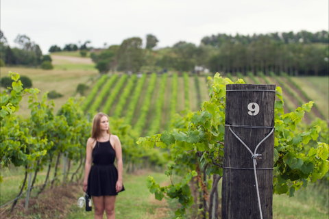 Naturally Luxurious - Great Beach Drive - QLD Tourism 0