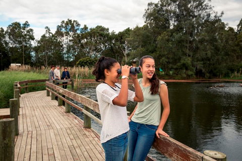 Newcastles Outdoor Adventures - QLD Tourism 2