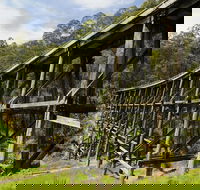 Noojee Trestle Bridge - QLD Tourism