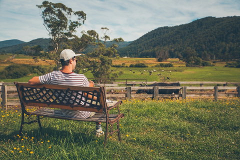 North - North East - QLD Tourism 0