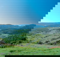 Numinbah Section Springbrook National Park - QLD Tourism