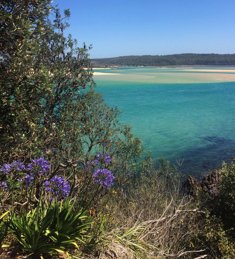 One Tree Point Lookout And Picnic Area - QLD Tourism 2