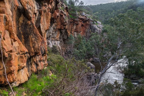 Onkaparinga River National Park - QLD Tourism 1