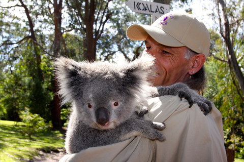 Potoroo Palace Native Animal Sanctuary - QLD Tourism 2