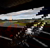 Reed Beds Bird Hide Boardwalk - QLD Tourism