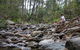 Rocksberg Park Heritage Reserve - thumb 0