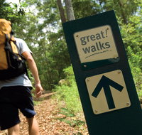 Sunshine Coast Hinterland Great Walk - QLD Tourism
