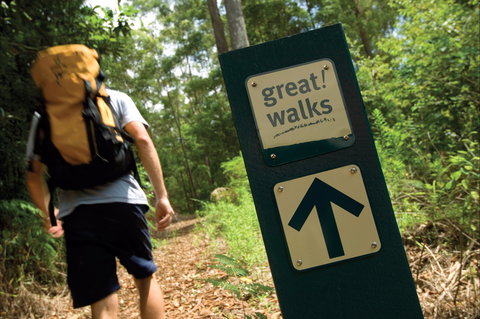 Sunshine Coast Hinterland Great Walk - Queensland Tourism 0