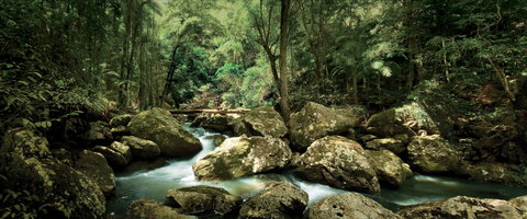 Sunshine Coast Hinterland Great Walk - Queensland Tourism 1