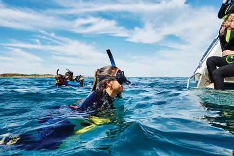 Swim With Dolphins Day Trip - QLD Tourism 0
