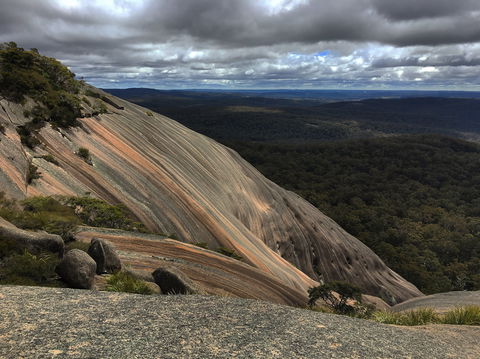 Tenterfield - Queensland Tourism 1