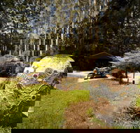 The Pines Picnic Area - Queensland Tourism