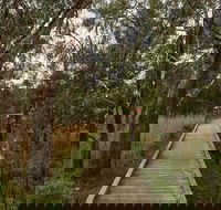 The Briars Park Walking Trails - Queensland Tourism