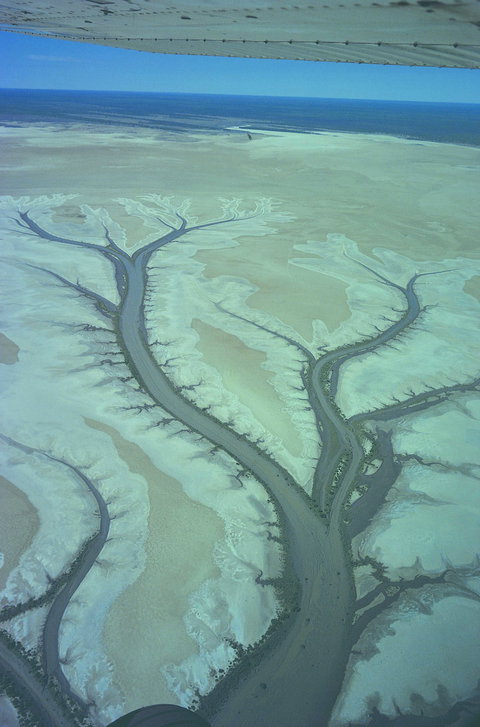Tidal Flats - QLD Tourism 0